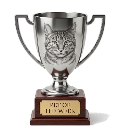 a pet of the week award